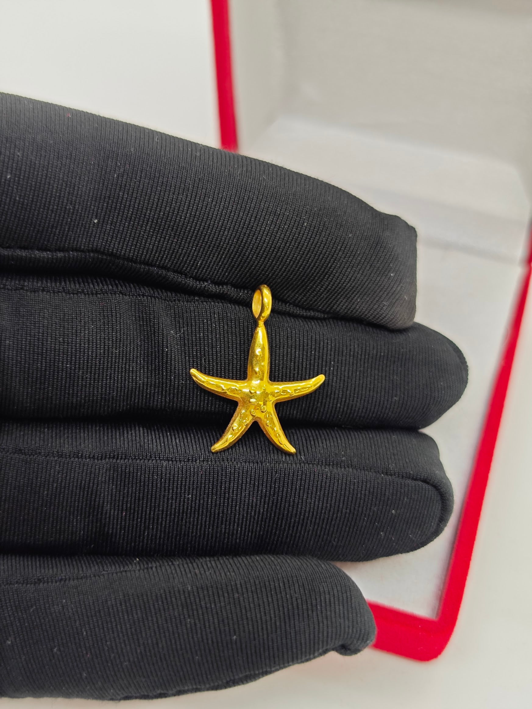 Deniz Yıldızı Şeklinde Kolye Uçu