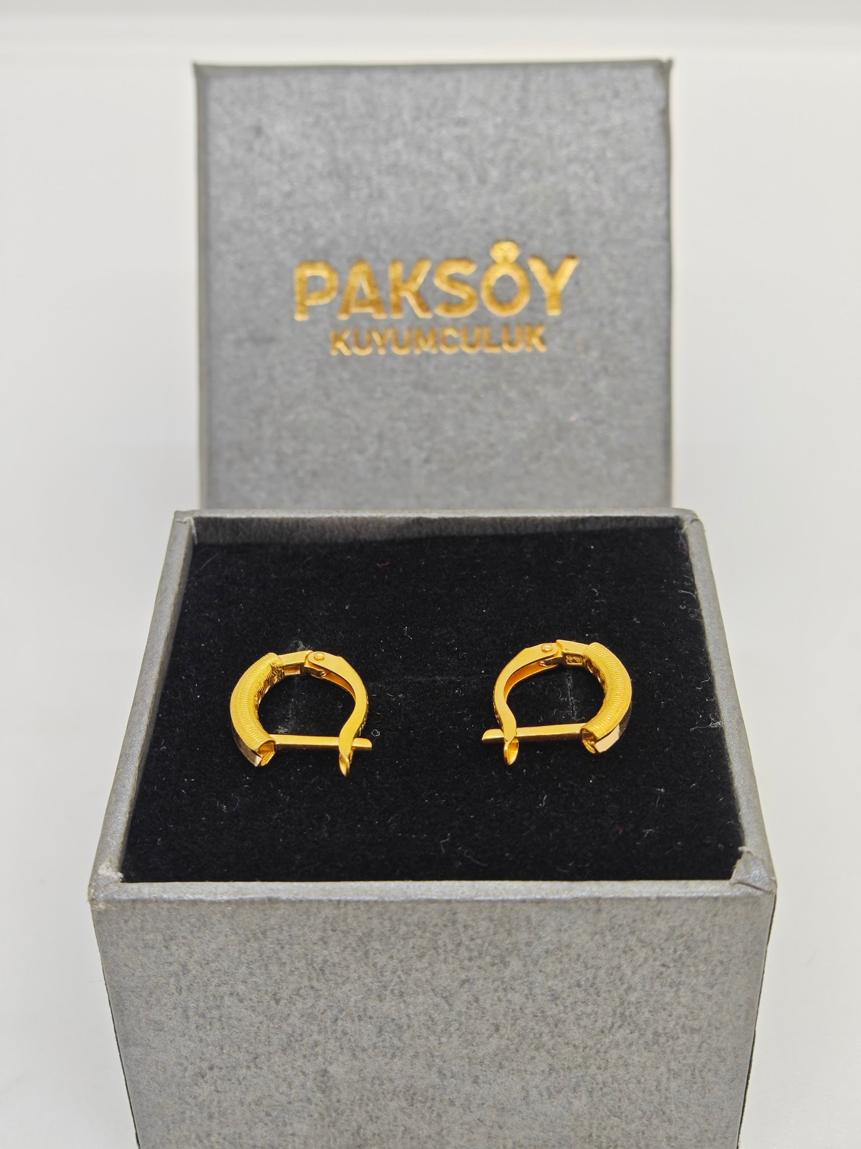 Zarif Ajda Küpe 22 Ayar Altın Küpe K000553